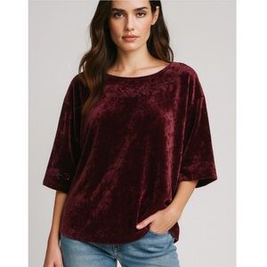 J.Jill Embroidered Pinot Multi Crushed Burgundy Velvet Blouse Size L New!